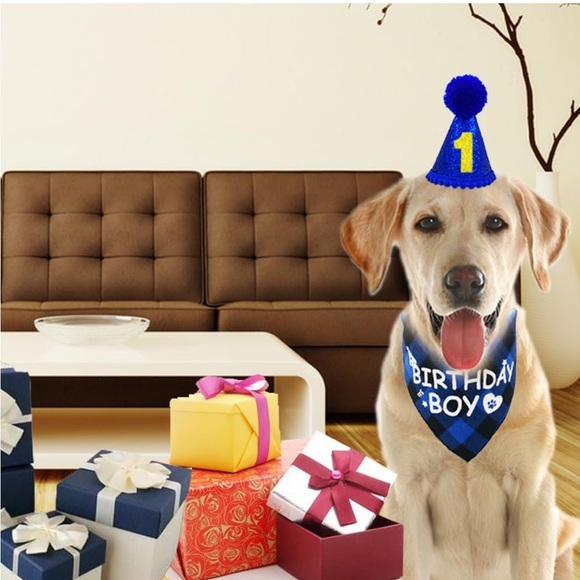 Dog birthday party supplies - Picture 6 of 7